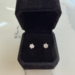 Moissanite Stud Earrings